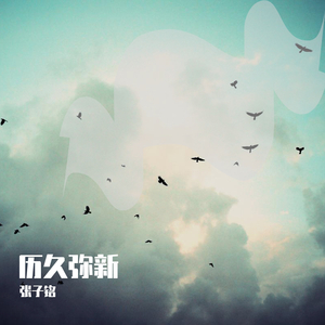 女子驷马悬吊真人
